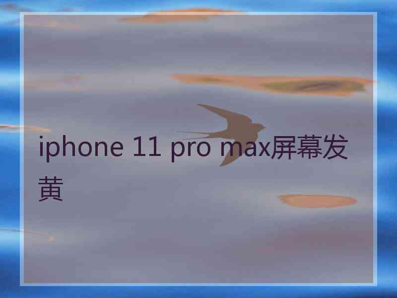 iphone 11 pro max屏幕发黄