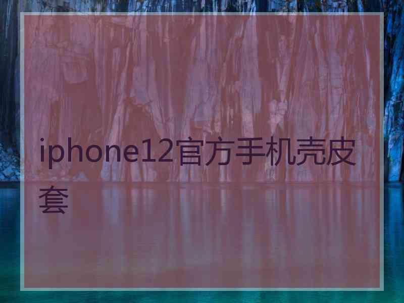 iphone12官方手机壳皮套