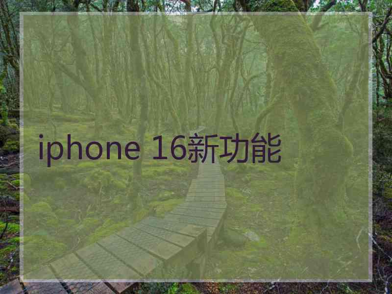 iphone 16新功能