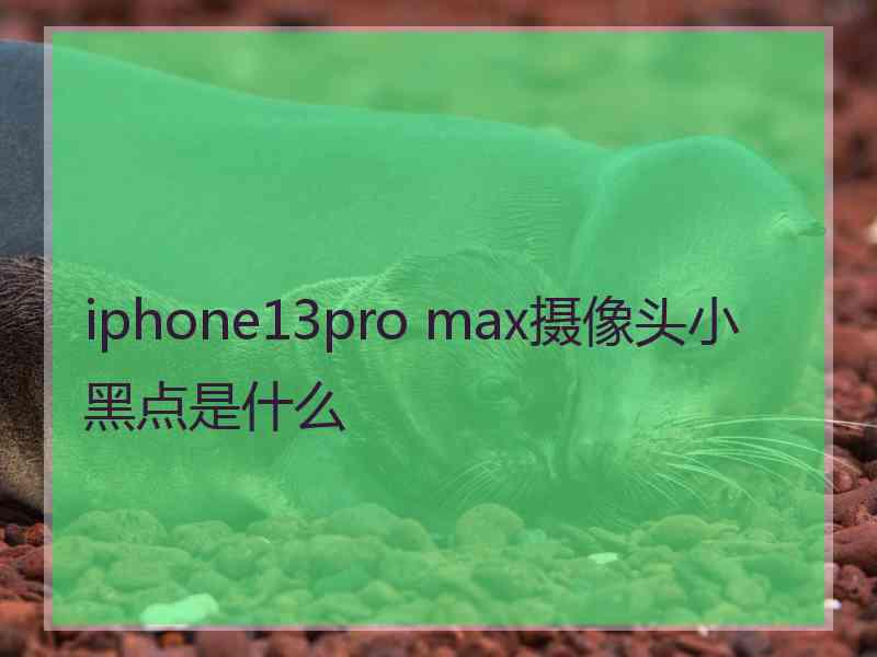 iphone13pro max摄像头小黑点是什么