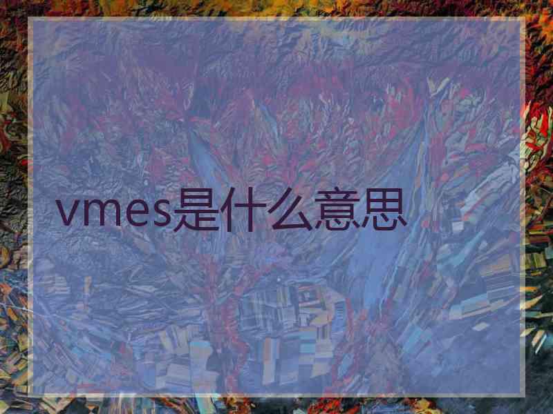 vmes是什么意思