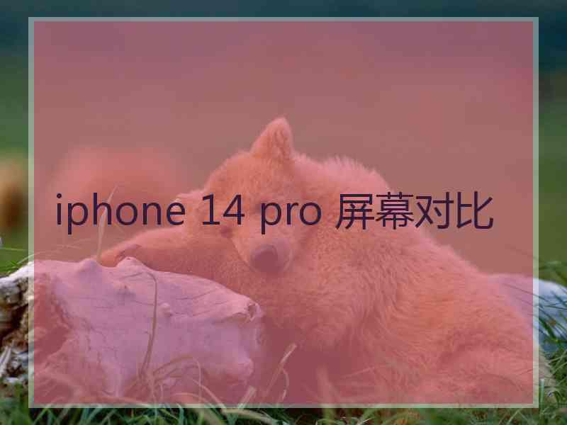 iphone 14 pro 屏幕对比