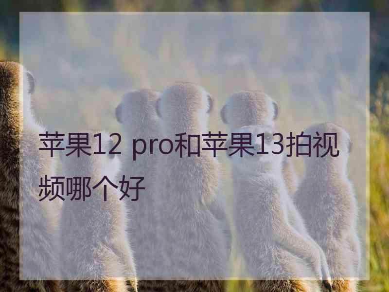 苹果12 pro和苹果13拍视频哪个好