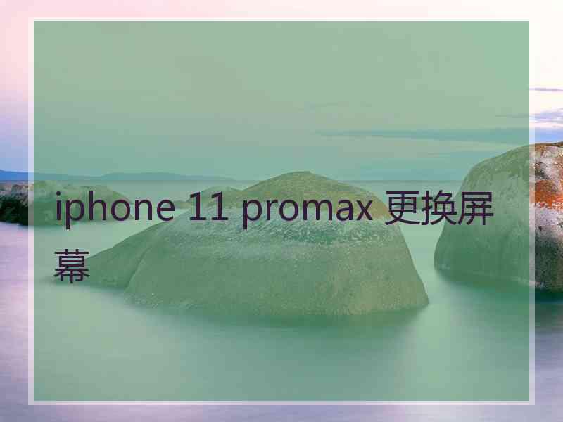 iphone 11 promax 更换屏幕