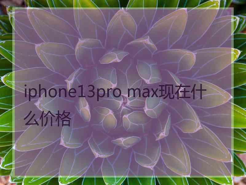 iphone13pro max现在什么价格