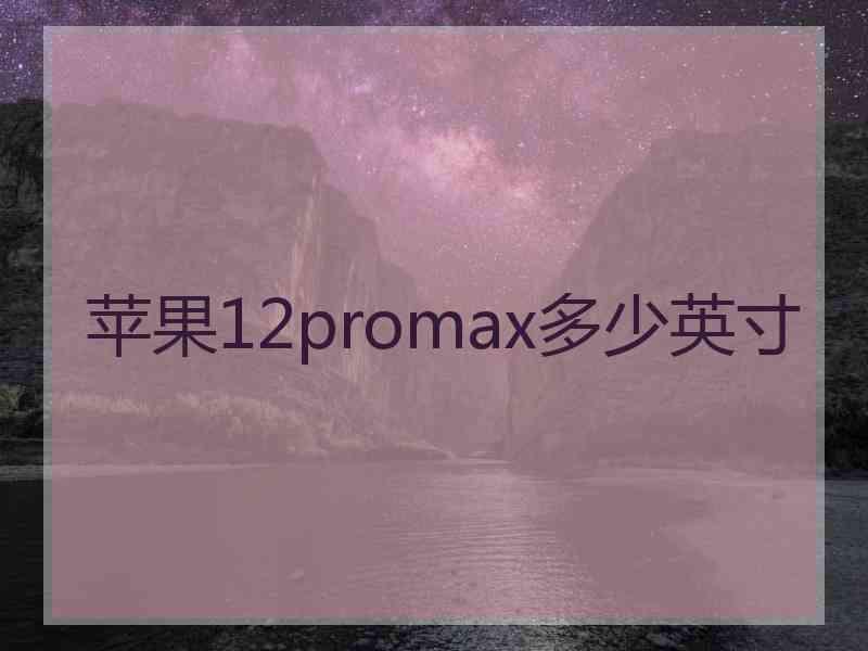 苹果12promax多少英寸