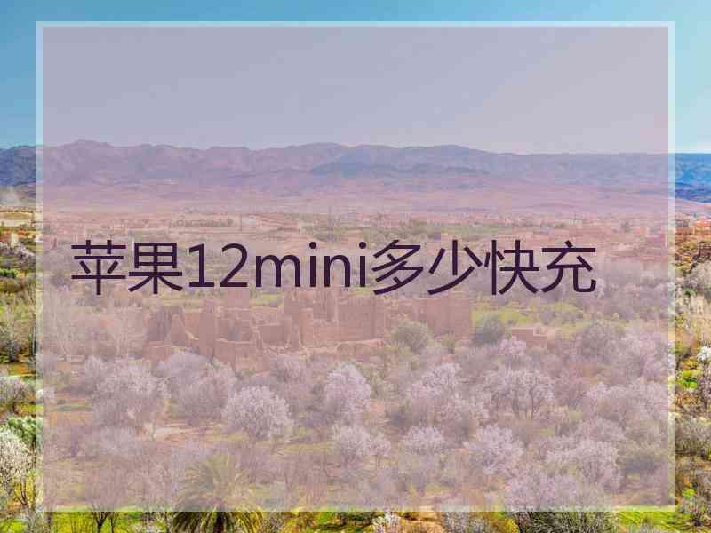 苹果12mini多少快充