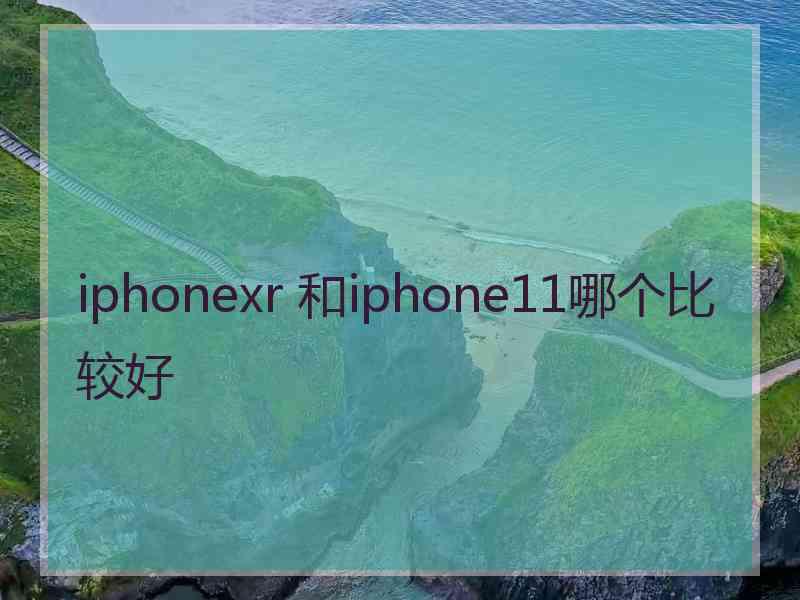 iphonexr 和iphone11哪个比较好