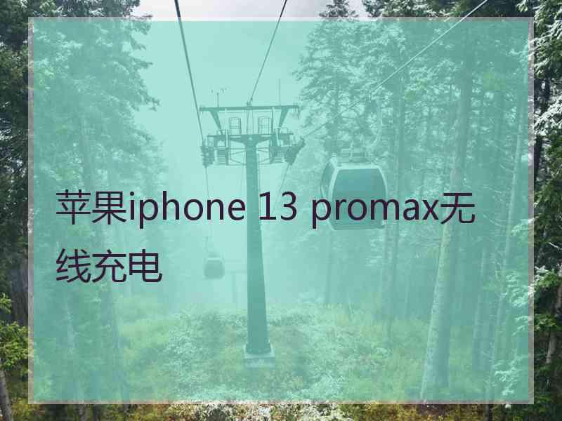 苹果iphone 13 promax无线充电