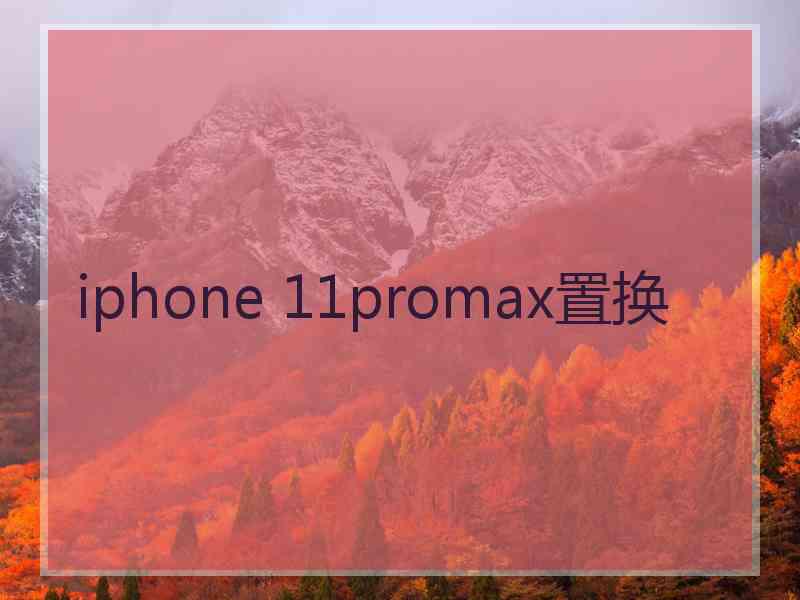 iphone 11promax置换