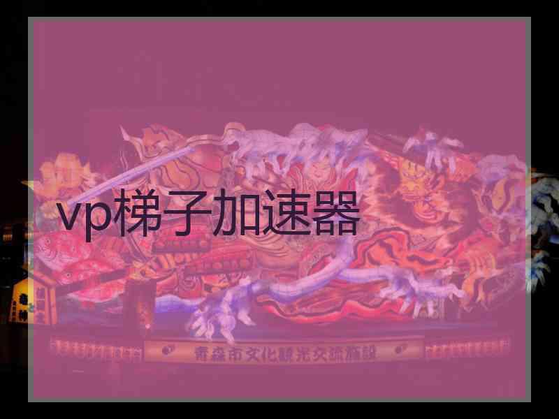 vp梯子加速器