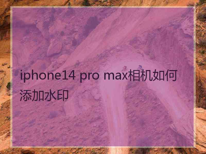 iphone14 pro max相机如何添加水印