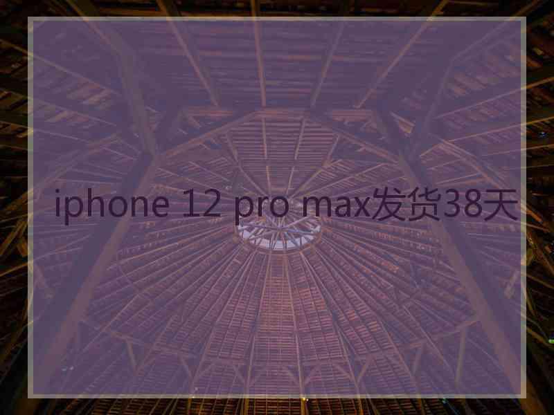 iphone 12 pro max发货38天