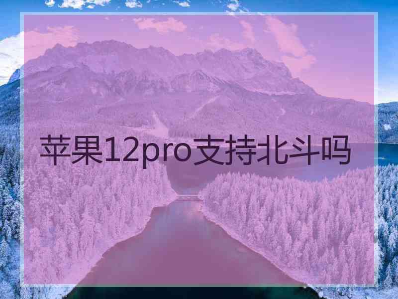 苹果12pro支持北斗吗