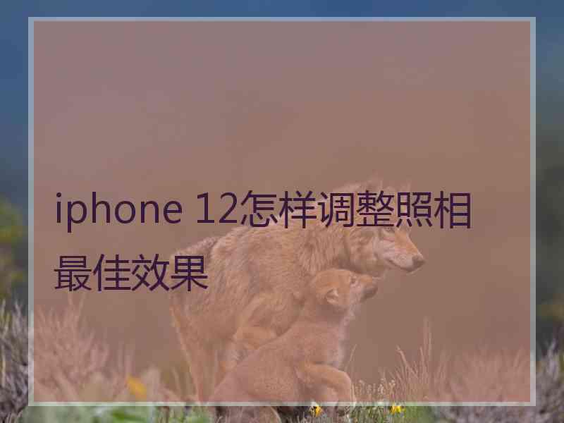 iphone 12怎样调整照相最佳效果