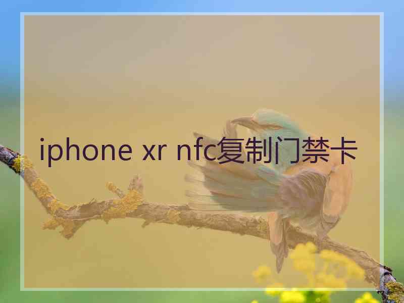 iphone xr nfc复制门禁卡