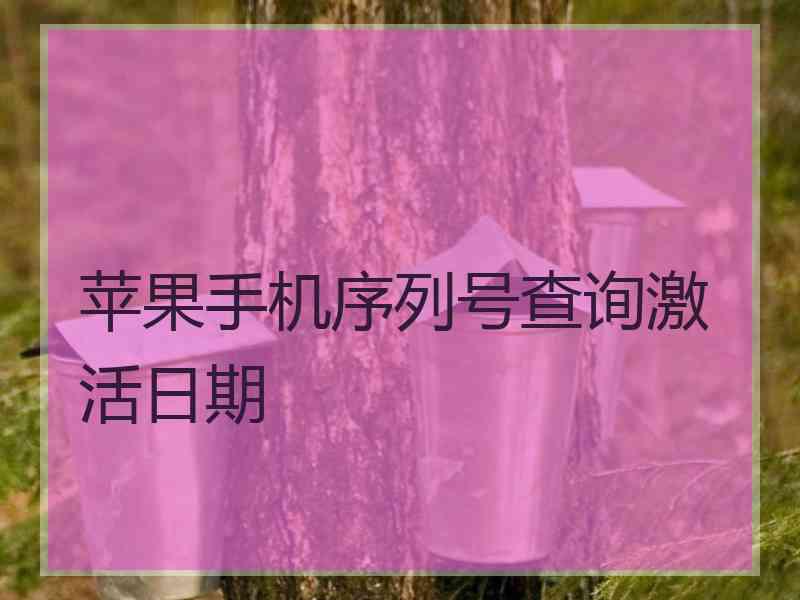 苹果手机序列号查询激活日期