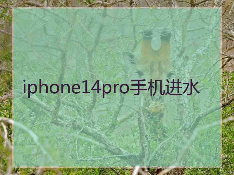 iphone14pro手机进水