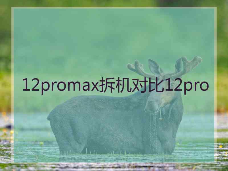 12promax拆机对比12pro