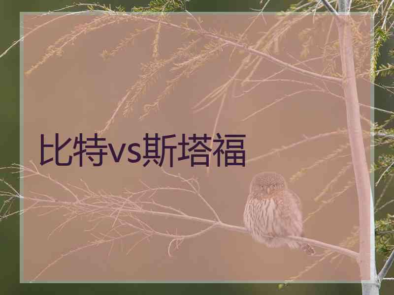 比特vs斯塔福