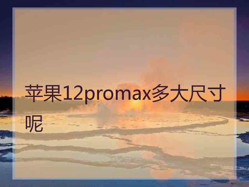 苹果12promax多大尺寸呢