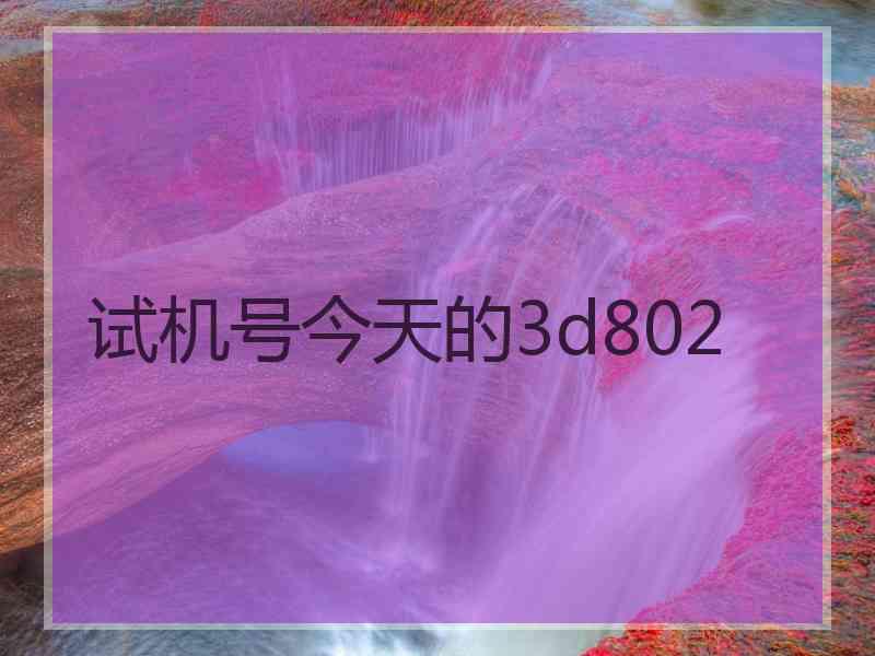 试机号今天的3d802