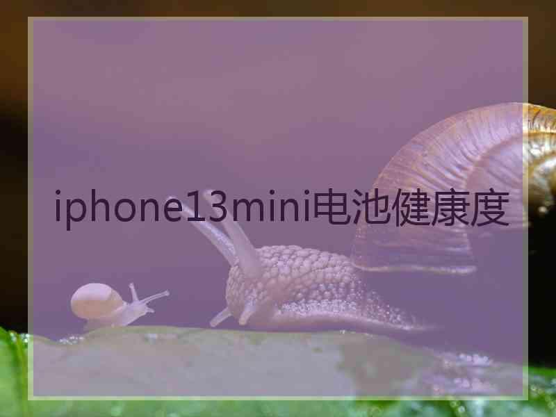 iphone13mini电池健康度