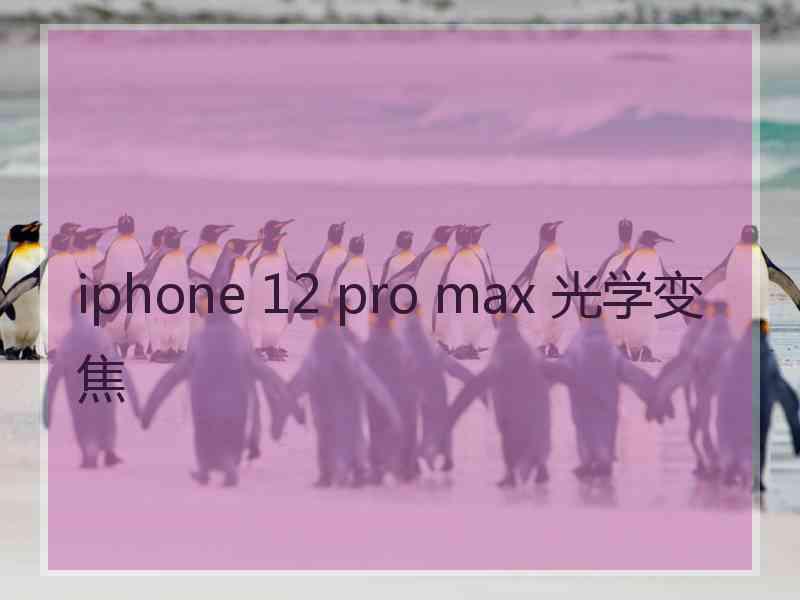 iphone 12 pro max 光学变焦