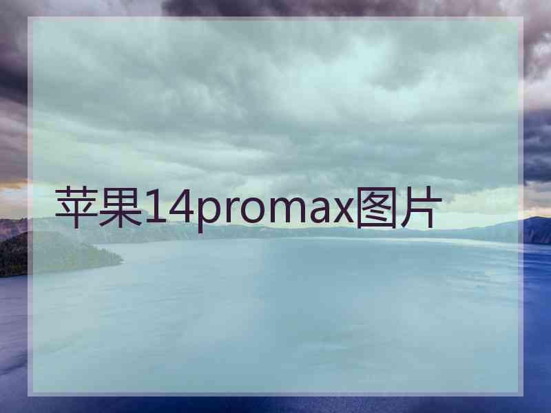 苹果14promax图片