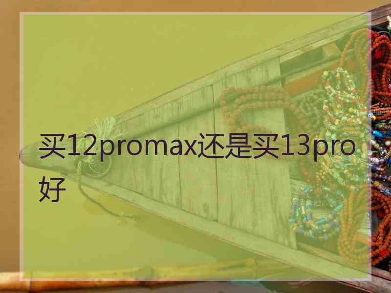 买12promax还是买13pro好