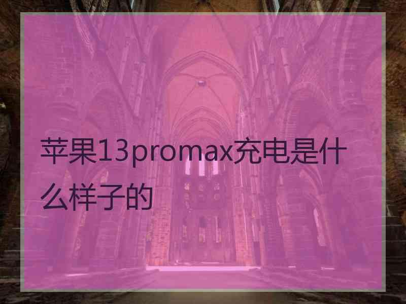 苹果13promax充电是什么样子的