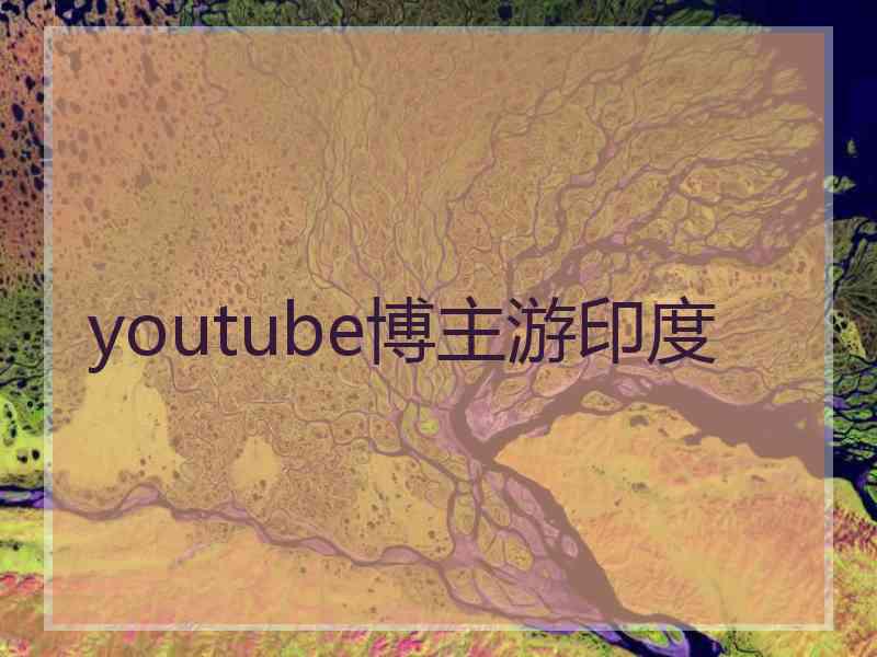 youtube博主游印度