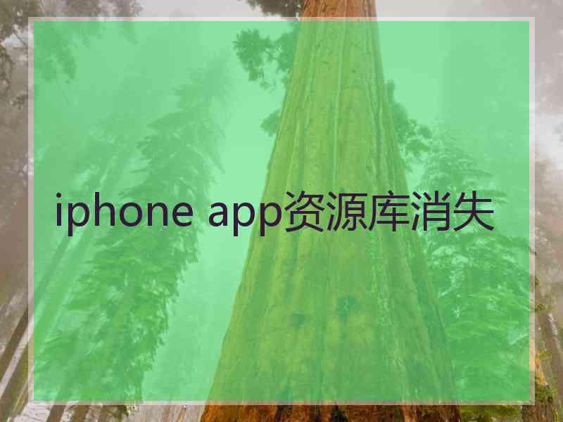 iphone app资源库消失