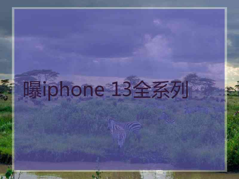 曝iphone 13全系列