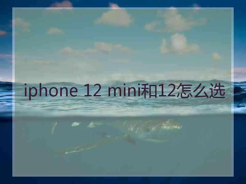 iphone 12 mini和12怎么选