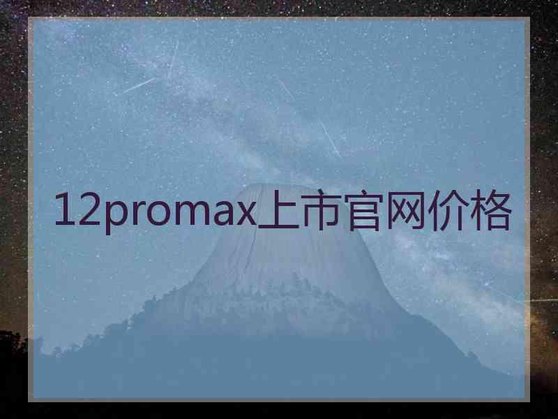 12promax上市官网价格