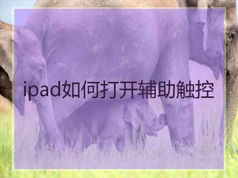 ipad如何打开辅助触控