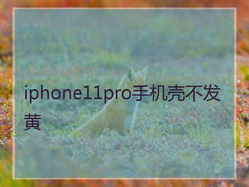 iphone11pro手机壳不发黄