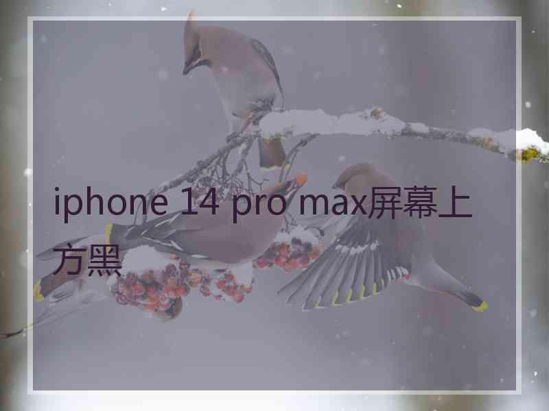 iphone 14 pro max屏幕上方黑