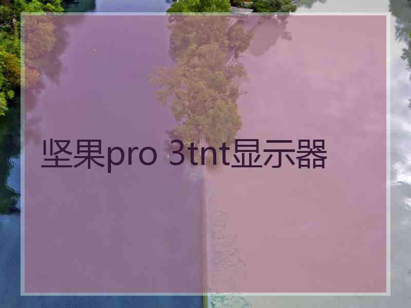 坚果pro 3tnt显示器