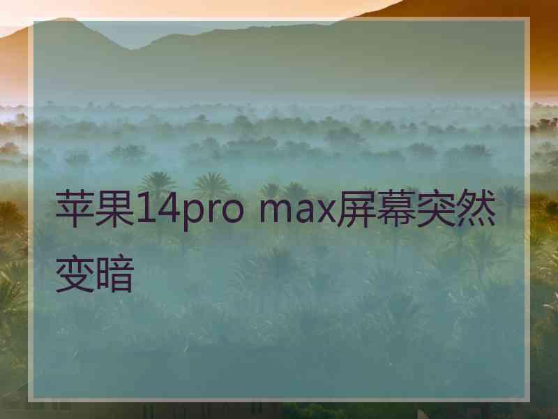 苹果14pro max屏幕突然变暗