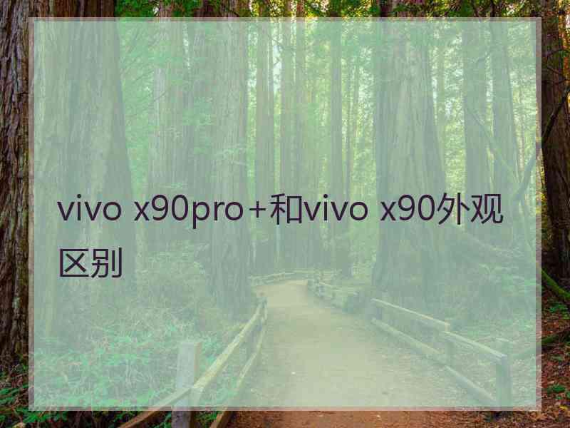 vivo x90pro+和vivo x90外观区别