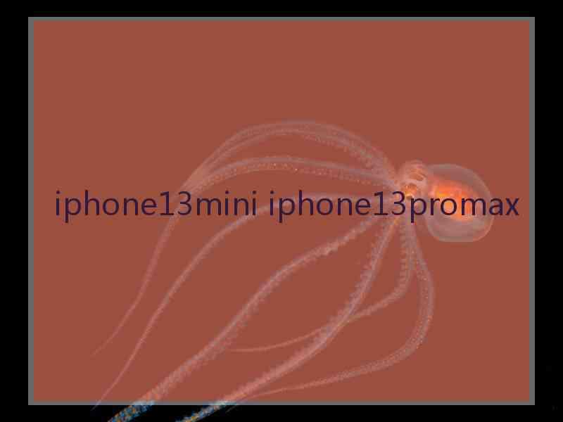 iphone13mini iphone13promax