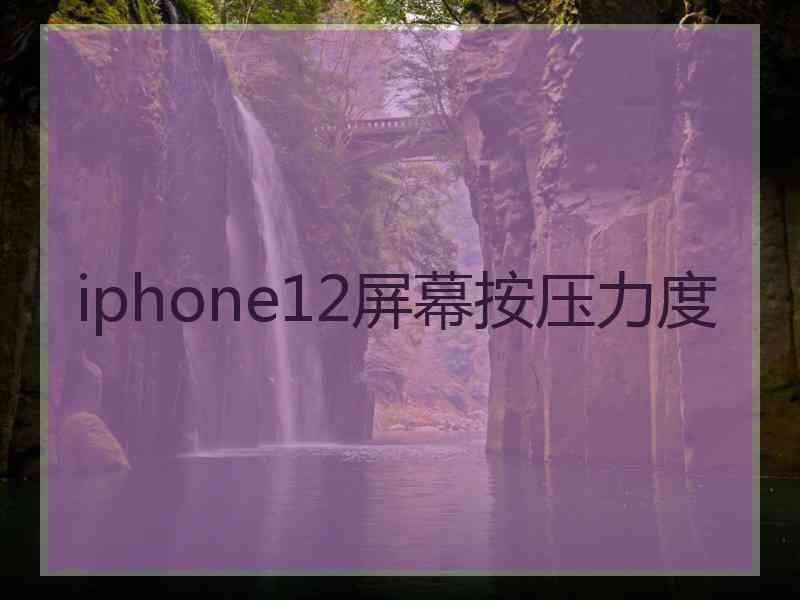 iphone12屏幕按压力度