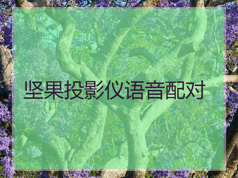 坚果投影仪语音配对