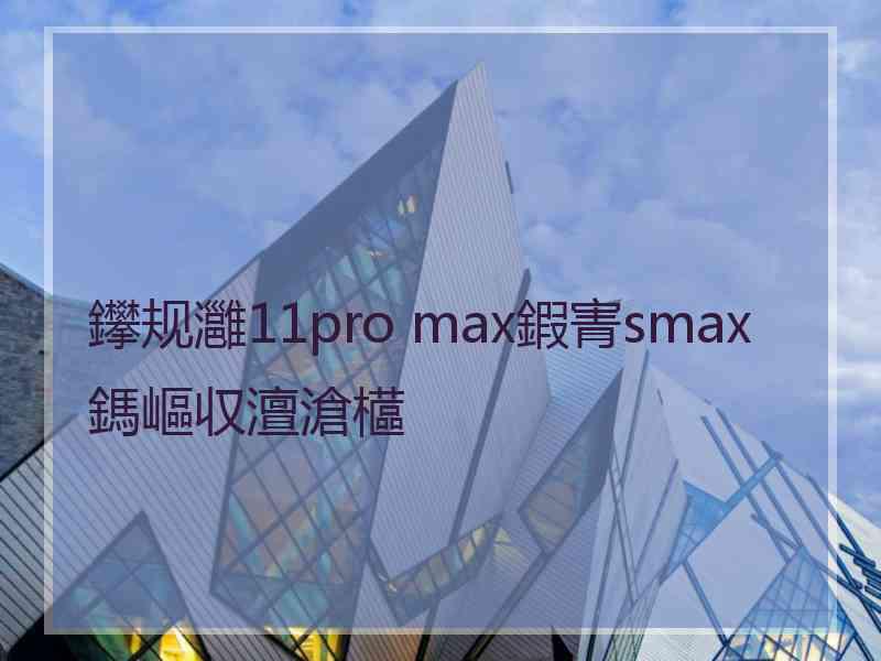 鑻规灉11pro max鍜寈smax鎷嶇収澶滄櫙