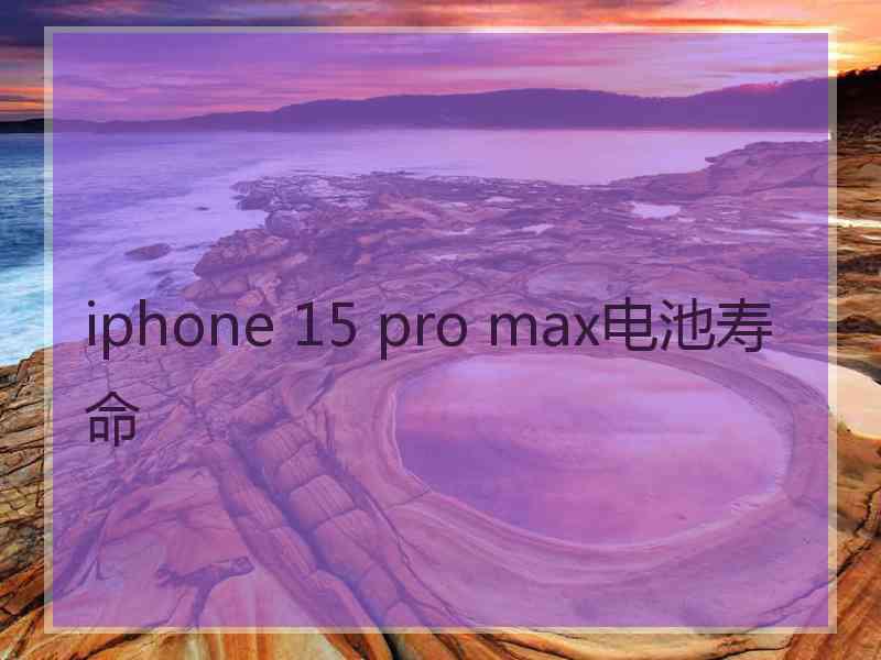 iphone 15 pro max电池寿命