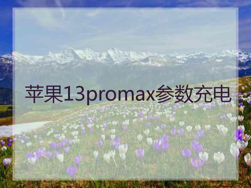 苹果13promax参数充电