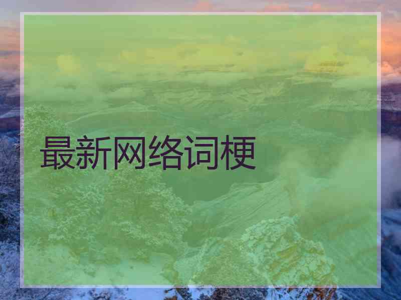 最新网络词梗