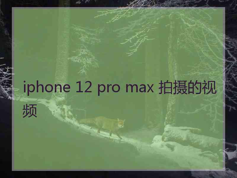 iphone 12 pro max 拍摄的视频